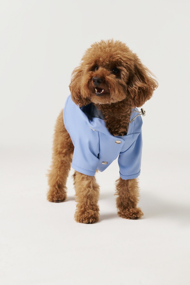 Dog Raincoat with Hood Water Resistant Light Blue image 3