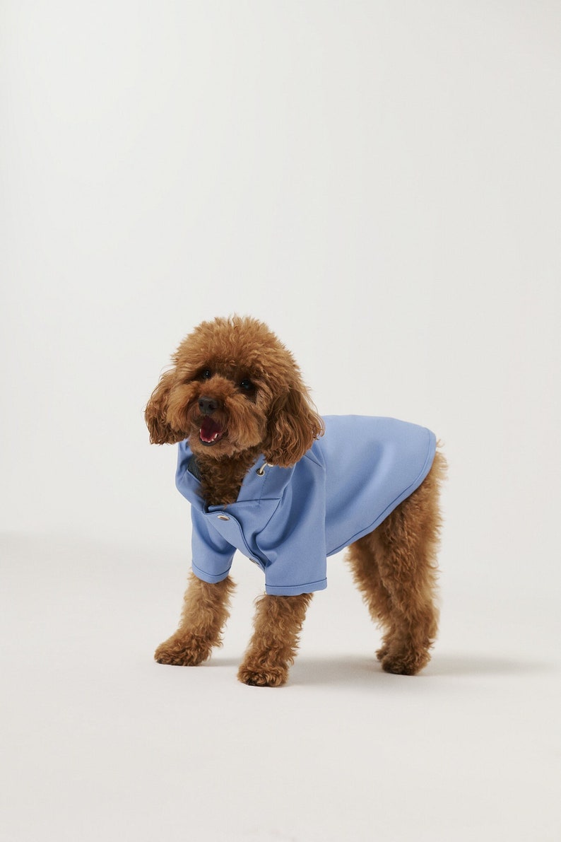 Dog Raincoat with Hood Water Resistant Light Blue image 1