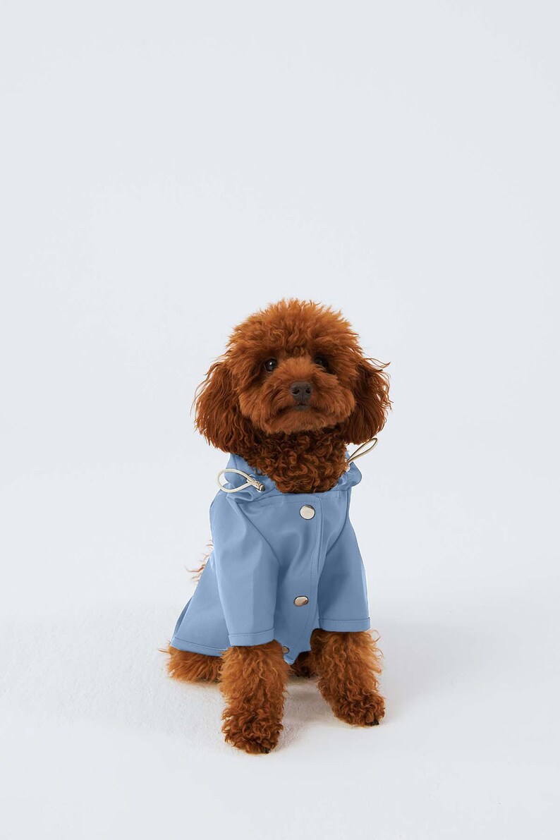 Dog Raincoat with Hood Water Resistant Light Blue image 4