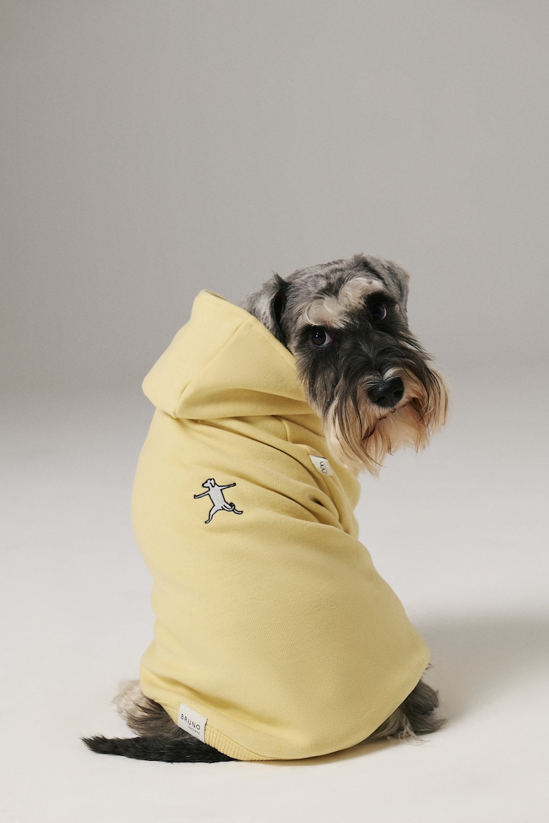 Dog & Human Matching Soft Cotton Hoodies, Matching Set For You and Your Pet, Matching Pet and Owner Set Yellow image 4