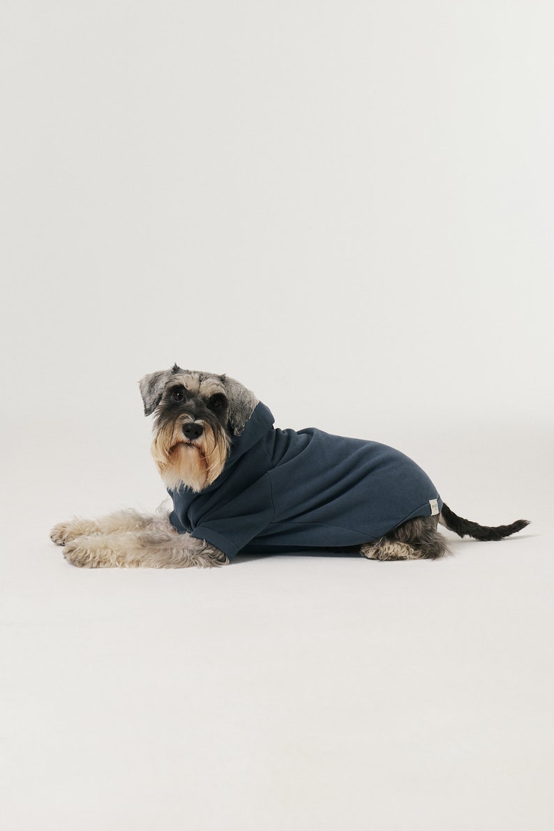 Dog Hoodie Organic Soft Cotton Blue image 7