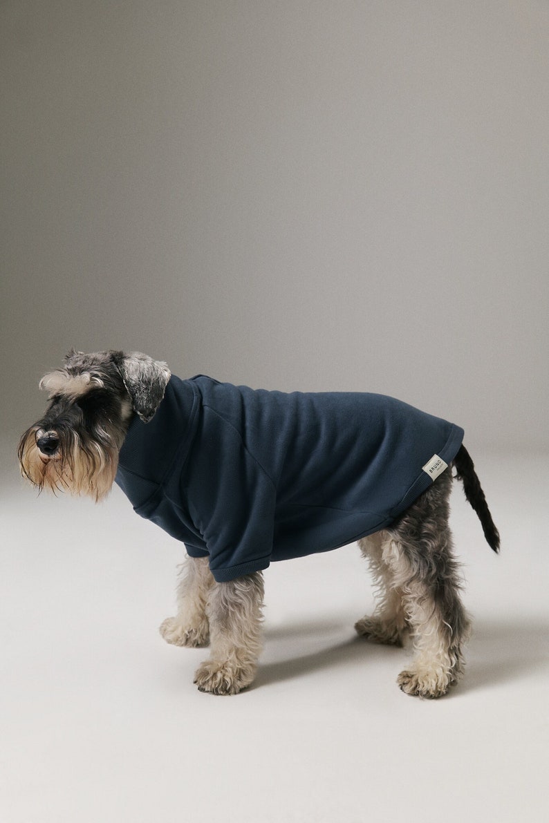 Sudadera de cuello alto para perros Algodón suave orgánico Azul imagen 1