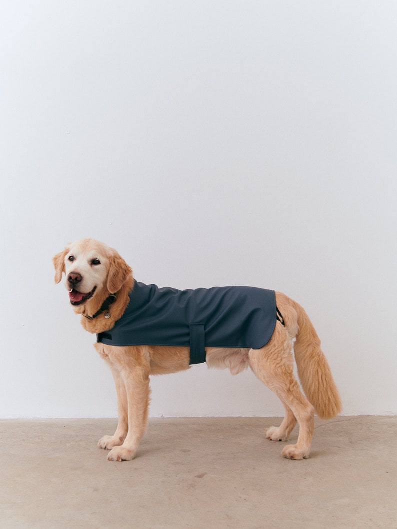 Dog & Human Matching Raincoat Matching Set for You and Your Etsy