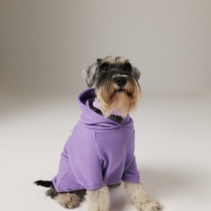 Dog & Human Matching Soft Cotton Hoodies, Matching Set For You and Your Pet, Matching Pet and Owner Set Lilac image 4