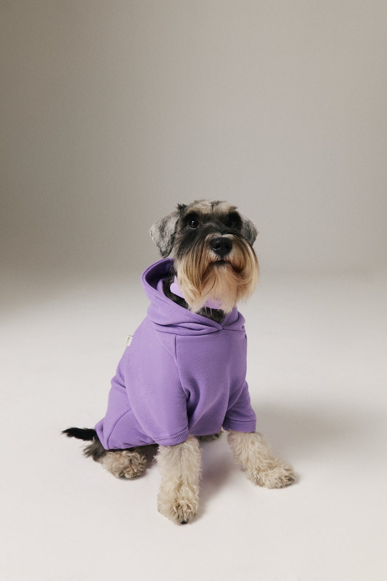 Dog & Human Matching Soft Cotton Hoodies, Matching Set For You and Your Pet, Matching Pet and Owner Set Lilac image 4