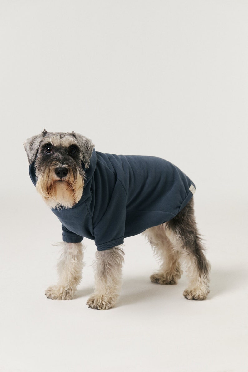 Dog Hoodie Organic Soft Cotton Blue image 1