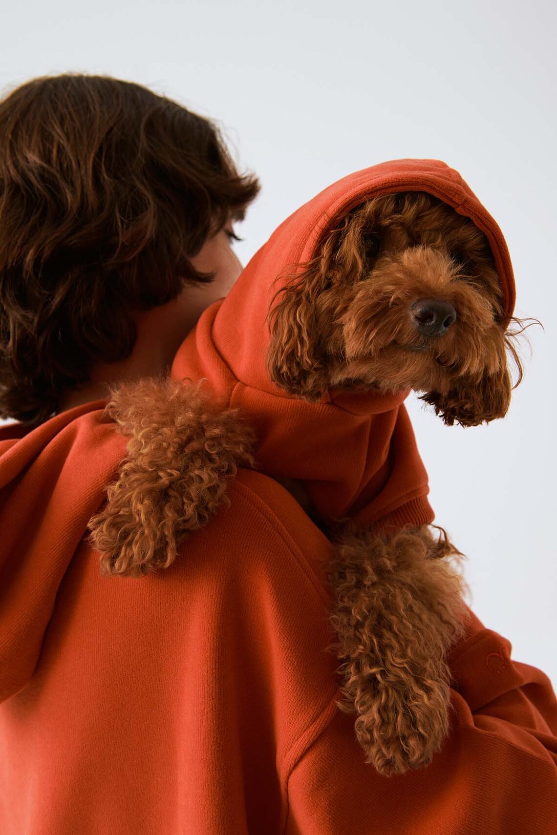 Dog & Human Matching 100 Organic Soft Cotton Hoodies Best Etsy