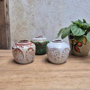 Puede incluir: Tres pequeños jarrones redondos de cerámica con diseños florales en relieve. Los jarrones son en tonos crema, verde y marrón. Una planta en maceta con hojas verdes está a la derecha. Los jarrones están sobre una superficie de madera.