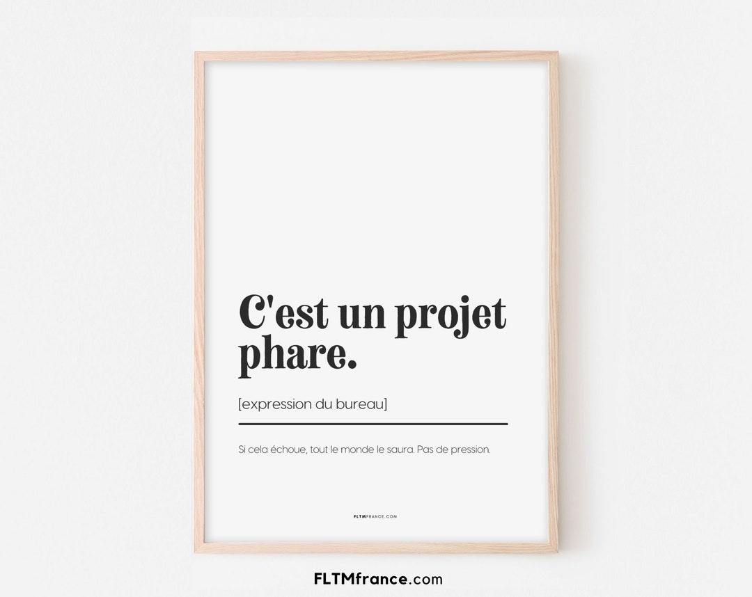It's a Flagship Project Poster Definition and Expression Etsy