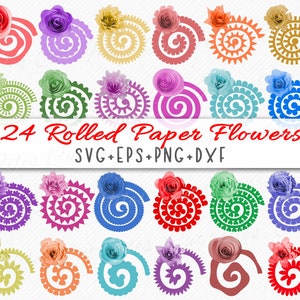 Fiore di carta arrotolato SVG PNG, fiore arrotolato SVG, modello di fiore 3D, modelli di fiori di carta per Silhouette e Cricut - uso commerciale svg