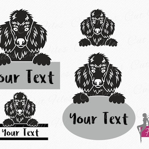Poodle Head SVG Dog, Poodle SVG Monogram Dog, Dog SVG, vector cutting and clipart files