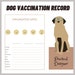 Printable Pet Vaccination Record, Dog Vaccination, Dog Health Care Log ...