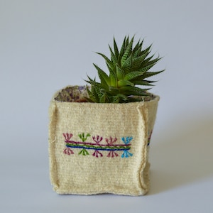May include: A small, cream-colored woven basket with a colorful embroidered design. The basket is filled with a green succulent plant.