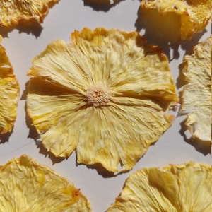 Dehydrated Pineapple Slices