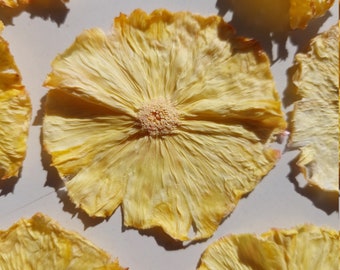 Dehydrated Pineapple Slices