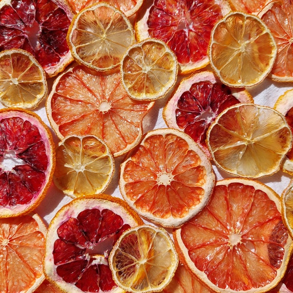 Dried Citrus Slices | Blood Oranges, Navel Oranges, Grapefruit, and Lemon | Edible Cocktail or Cake Garnishes