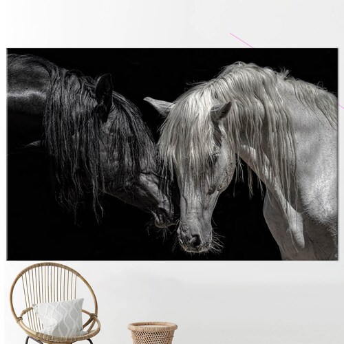 Black and White Horse Canvas Wall Art Noble Horse Canvas Etsy