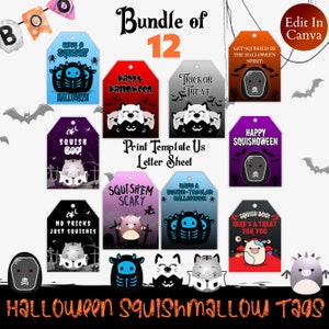Sweet And Spooky Tags, 12 Halloween Squishmallow Tags, Squishmallow Boo Tags, Trick Or Treat Tags, Happy Halloween Tags, Scary Night Tags