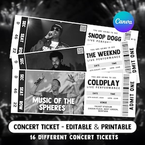 Editable Concert Ticket Template, Custom Concert Ticket Gift, DIY Event Ticket, Surprise Printable Concert Tickets Gift Idea, Canva Template