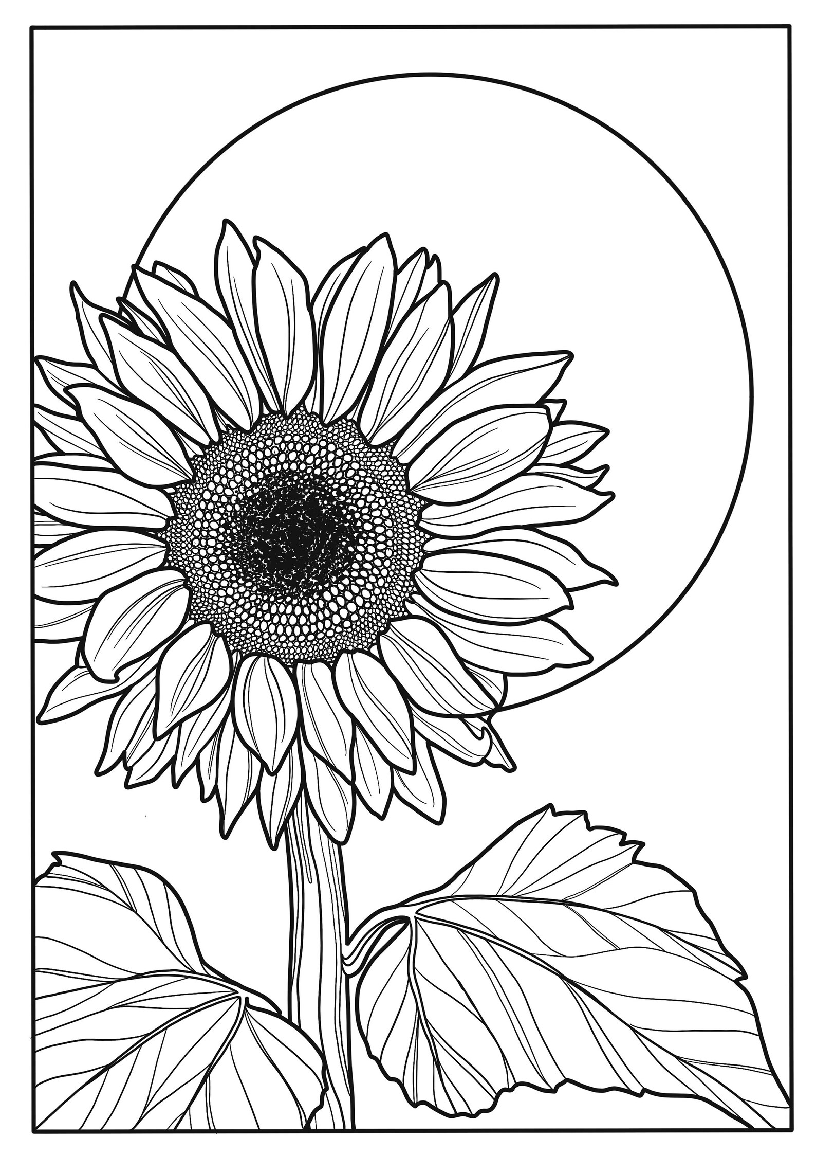 Sunflower A4 Printable Colouring Page Art Relaxing Etsy