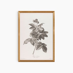 Botanical Sketch,Vintage Farmhouse Print Digital Download, Rustic French Art,Vintage Country Art,Black and White Rose Sketch,Neutral Tones