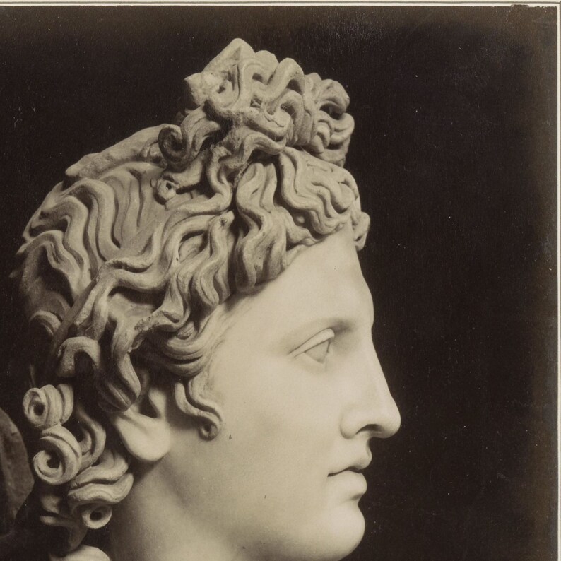 May include: A close-up of a white marble sculpture of a person's head with detailed hair. The sculpture is lit from the left, creating a shadow on the right side of the face.