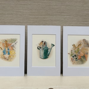 May include: Three framed illustrations of Peter Rabbit from Beatrix Potter's children's book. The first image shows Peter Rabbit wearing a blue jacket and holding a carrot. The second image shows Peter Rabbit hiding in a watering can. The third image shows Peter Rabbit hiding in a flower pot.