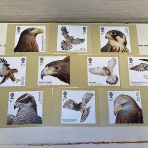 Lot de 10 cartes postales avec timbres Royal Mail - Oiseaux de proie - Série de cartes timbrées 2019 PHQ 455