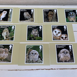 Lot de 10 cartes postales avec timbres Royal Mail - Hiboux - Série de cartes timbrées PHQ 442 du 11 mai 2018