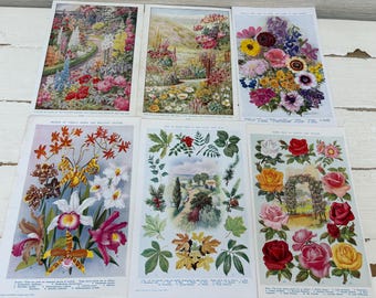 Antike Buch-Teller x 6 Natur Botanik - Blumen Bäume Pflanzen - Ephemera Journalling Crafting