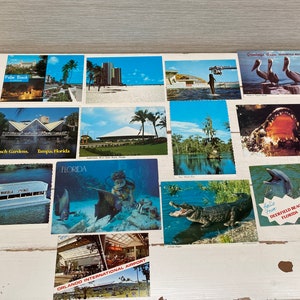 13 cartes postales vintage des années 1970/80 en Floride - Alligator, Palm Beach, Busch Gardens Tampa, Deerfield Beach, Jacksonville Beach