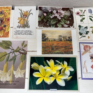 Sette cartoline d'epoca Fiori / Natura