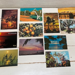 Cartoline vintage della Florida degli anni '70/'80 x 11 - Citrus Tower Clermont, Florida Orange Groves, Cypress Gardens, Tramonto