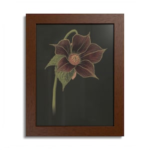 May include: A framed wall art piece featuring a botanical illustration of a dark maroon flower with a textured centre and green leaves on a solid black background. The artwork is enclosed in a rectangular brown wooden frame with a visible wood grain.