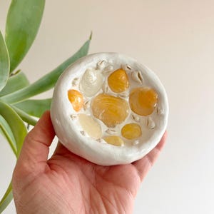 May include: A small, white ceramic bowl filled with polished, amber-colored stones. The bowl has a textured rim and is held in a hand, with a succulent plant visible in the background. The stones vary in size and shade.