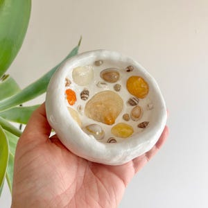 Könnte beinhalten: Eine weiße Keramikschale mit verschiedenen Muscheln, die in die Oberfläche eingebettet sind. Die Muscheln sind in Weiß-, Orange- und Gelbtönen gehalten.