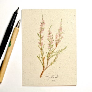 Postkarte A6 Graspapier "Heidekraut"