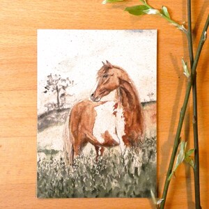 Postkarte A6 Graspapier "Pferd in freier Wildbahn"