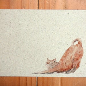 Postkarte A6 Graspapier "Katze"