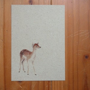 Postkarte A6 Graspapier "Rehkitz"