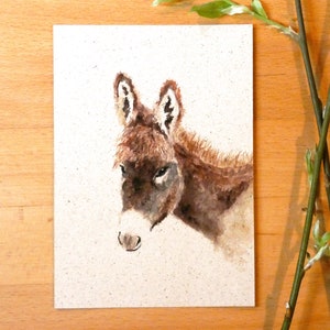 Postkarte A6 Graspapier "Esel"