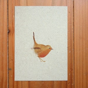 Postkarte A6 Graspapier "Rotkehlchen"