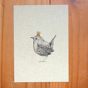 Postkarte A6 Graspapier "Zaun-KÖNIG"