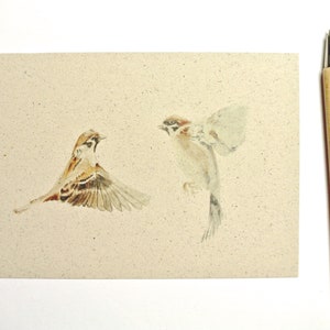 Postkarte A6 Graspapier "Spatzen-Paar"