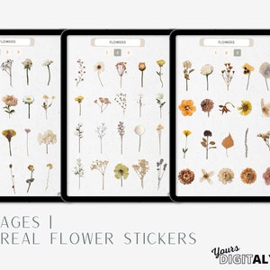 May include: Three pages of digital planner stickers featuring 60 real pressed flowers. The stickers are arranged in rows on a beige background. The title "FLOWERS" is at the top of each page.