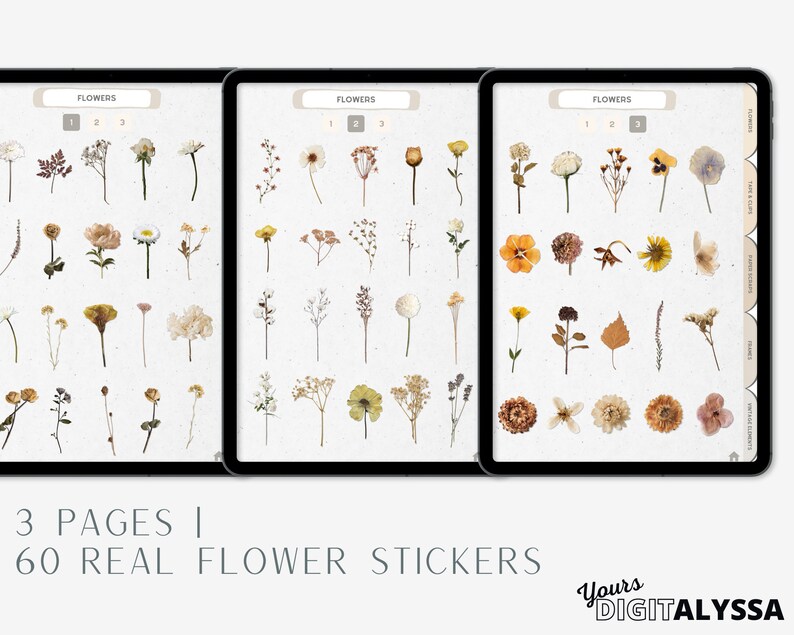 May include: Three pages of digital planner stickers featuring 60 real pressed flowers. The stickers are arranged in rows on a beige background. The title "FLOWERS" is at the top of each page.