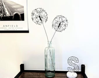 A Delicate Set of Two Dandelions as a Whimsical Botanical Art Gift for Bookshelf Decor