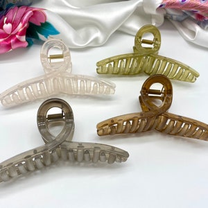 May include: Four plastic hair clips in different colors: clear, light brown, dark brown, and green. The clips are designed with a curved shape and a row of teeth along the bottom.