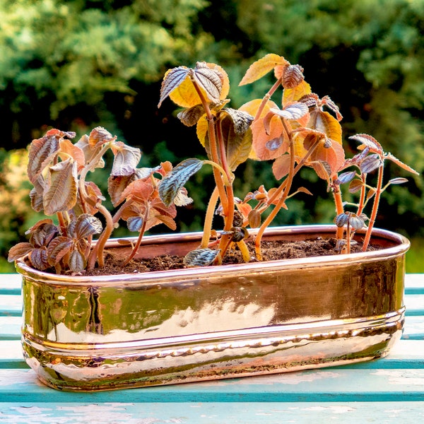 Long Copper Planter Pot, Windowsill Rectangular Planter, Copper Plant Pot 13'', Flower Box, Herb Planter Box, Home Decore
