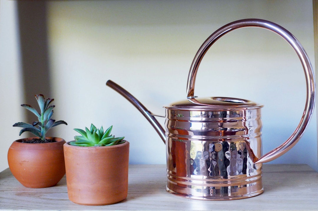 Hand-hammered Copper Watering Can: Indoor Plant Gift - Etsy
